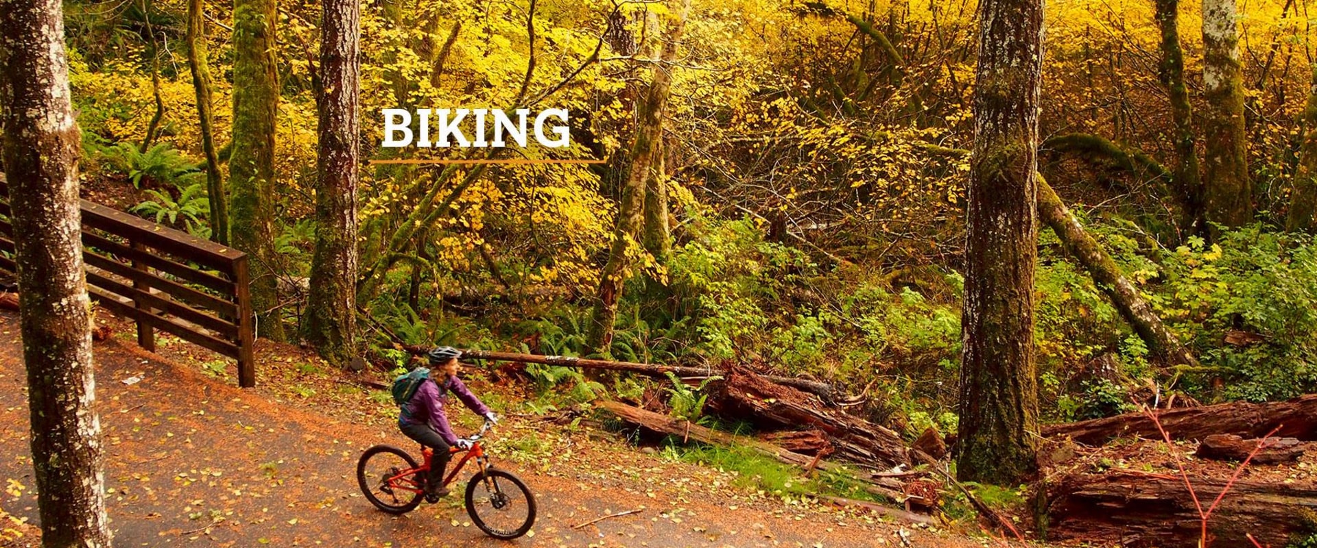 Discovering Scenic Biking Routes Around Serene Lakes